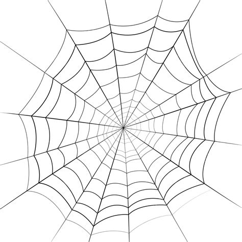 Black Cobweb Spider Web Hand Drawn Cartoon On Transparent Background ...