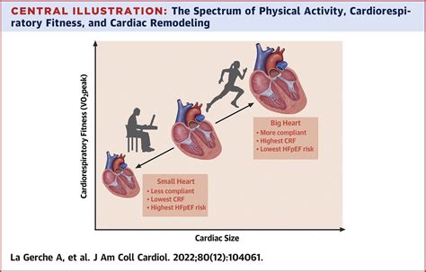 Heart Failure With Preserved Ejection Fraction as an Exercise Deficiency Syndrome: JACC Focus ... - what is ejection fraction