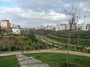 Top 20 things to do in Gebze (Updated Mar 2025)