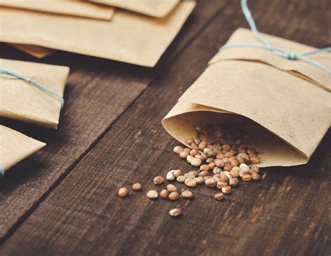 Film Screening: Open Sesame: The Untold Story of Seeds and Seed Library ...