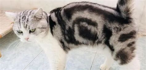 Image result for Reflection/Refraction Interference Difflection Diffrraction