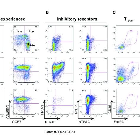Image result for Lymphocyte Lineage Modulator