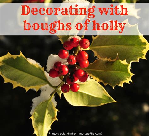 Decorating with boughs of holly – Artofit
