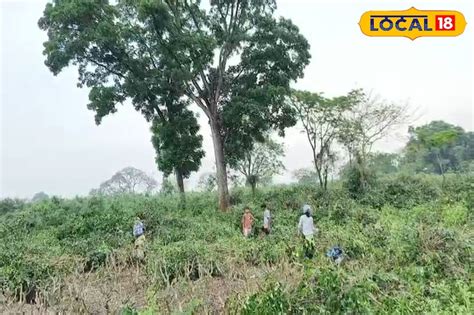 North Dinajur News: চার বছরের হাহাকার শেষ, আশা ছেড়ে দিয়েও অবশষে ফিরল ...