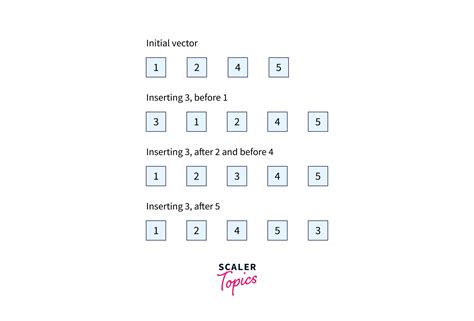 C++ Vector Insert Function - Scaler Topics