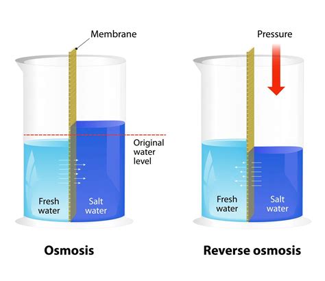 5 Stage Reverse Osmosis Water Filter - The Water Treatment Centre