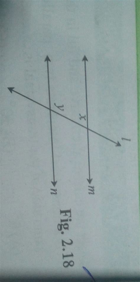 1) In figure 2.18,y= 108° and x=71° are the line m and n parallet ...