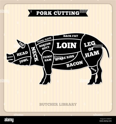 Pork, pig meat cutting vector vintage chart, cuts guide diagram. Pig ...