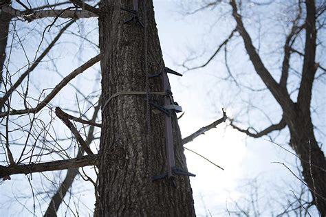 Review Climbing Sticks for Hunting 的图像结果