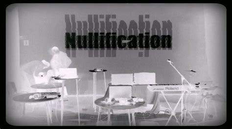 Nullification Example Picture 的图像结果