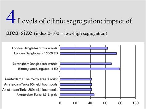 Segregation Effects 的图像结果