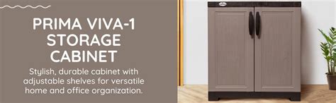 Prima Viva-1 Plastic Storage Cabinet (Small H 2 Ft x W 2 Ft x D 1.6 Ft ...