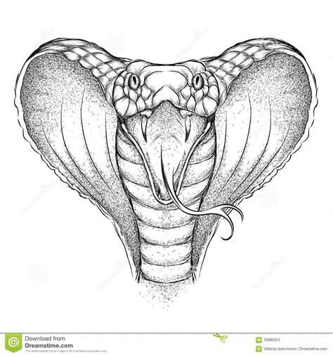 Image result for How to Draw a Python Snake Open Mouth Wide-Open