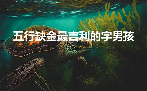 五行缺金最吉利的字男孩（五行缺金寓意好的字男孩）-七暖网