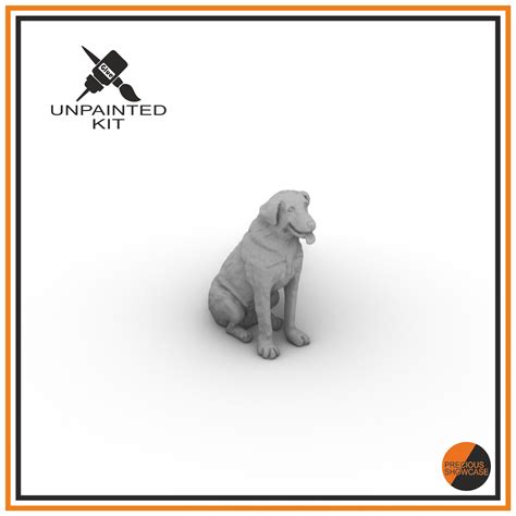 Image result for Cane Labrador