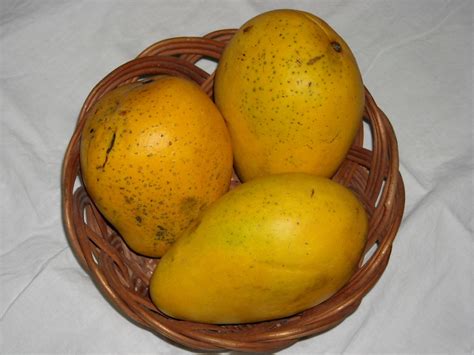 Travel Tips About DIGHA GHAT(DDG) | DIGHA GHAT(DDG) Station Information ...