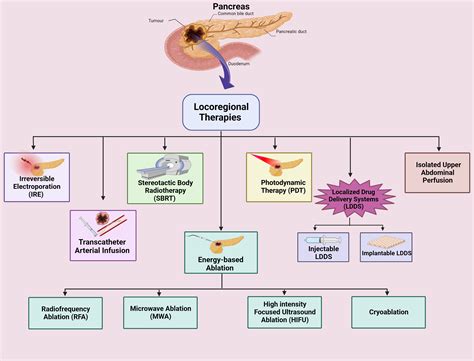 Liver And Pancreas Disease _ Disorders of the Liver and Gallbladder in ...