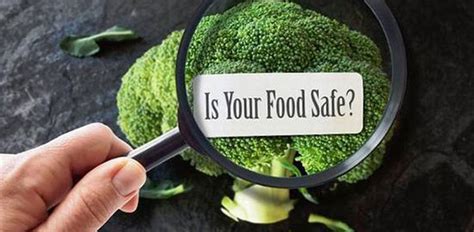 NR Safety Consultant