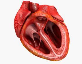 Image result for Heart with Name Using Python