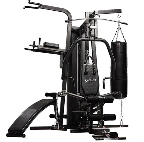 Home Gym - Fitking G 300 Home Gym Trader - Retailer from Vadodara