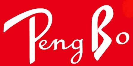 Company Overview - Guangzhou Pengbo Enterprises Co., Ltd.