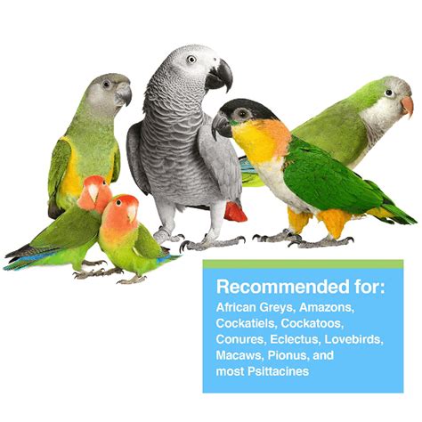 Pet Parrot Hand Feeding Formula 的图像结果