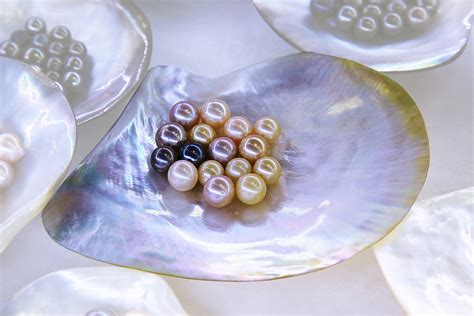 Ever wondered, How the pearls are formed inside an oyster?