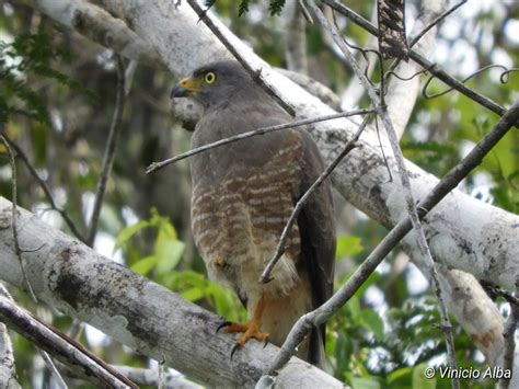 VIAR EXPEDITIONS GUATEMALA (2026) All You Need to Know BEFORE You Go ...