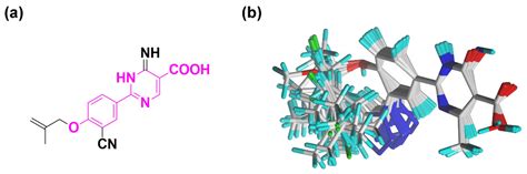 Exploration of Novel Xanthine Oxidase Inhibitors Based on 1,6 ...