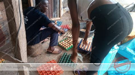 Image result for Egg Distribution Java Source Code