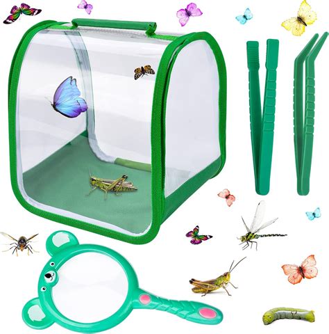 Butterfly Growing Kit