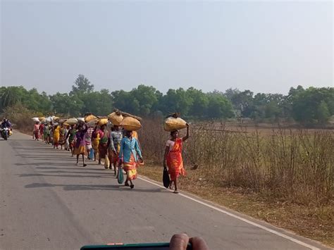jamshedpur-rural : चाकुलिया और बहरागोड़ा के ग्रामीण मकर पर्व की तैयारी ...