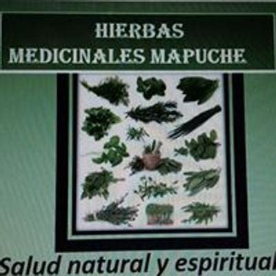Discover Hierbas medicinales mapuche Events | Tickets & Details | AllEvents