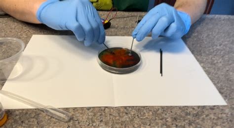 Make Me Genius Science 的图像结果