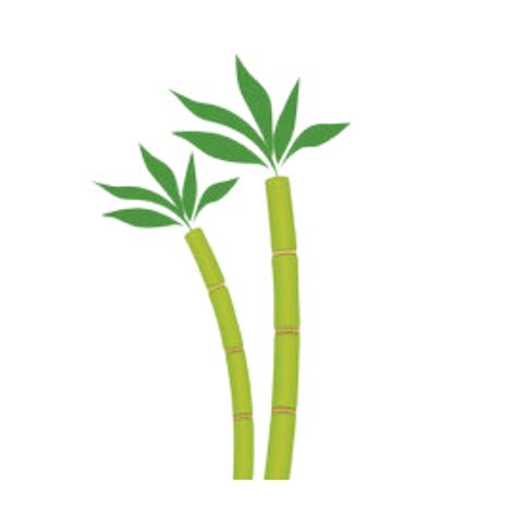 CANEWARE | nature safe