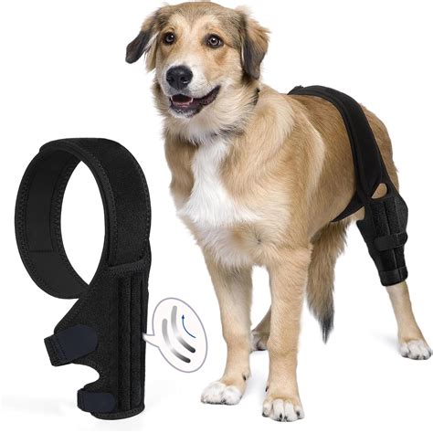 Amazon.com : KISFLY Rear Leg Braces for Dogs Luxating Patella Joint ...