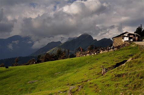 Chopta & Chandrashila Trek 2024 (3D/2N) @ INR 5999 |Book now