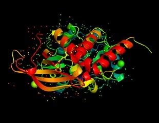Image result for Protein Crystallization Screening