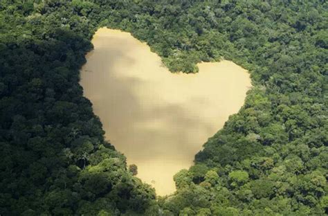 心形湖泊：巴西，亚马逊丛林 |我爱你|心形岛|澳大利亚_新浪时尚_新浪网