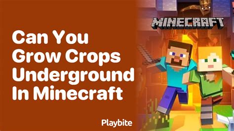 Can You Grow Crops Underground in Minecraft? - Playbite