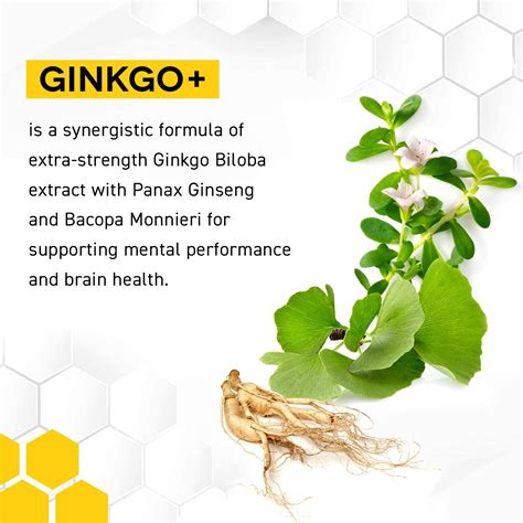 Buy NATURAL STACKS Ginkgo Biloba Supplements w/ Panax Ginseng and ...