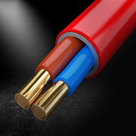 Image result for Fire Department Connection