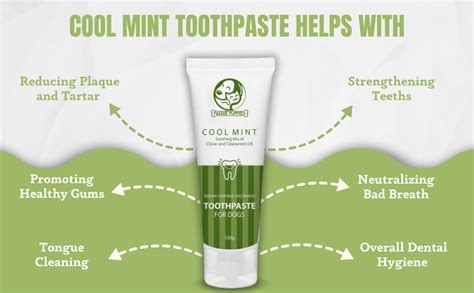 Foodie Puppies Dental Care Cool Mint Toothpaste for Dogs - 100g with ...