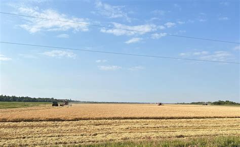 177 acres in White Oak, AR, 72461 | Land and Farm