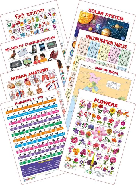 Buy Spectrum Educational Mini Wall Chart (Set of 8) : Set 25 ( Hindi ...