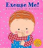 Buy Fisher-Price Mega Bloks Big Building Bag, Multicolor Online at Low ...