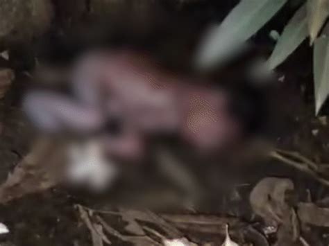 Newborn thrown in Tikamgarh hospital premises after delivery 2 bikers ...