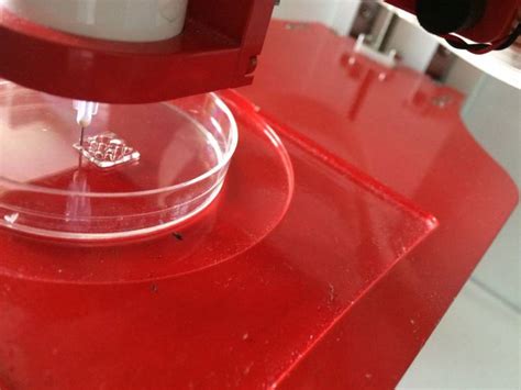 IIT Hyderabad researchers produce collagen from eel skin