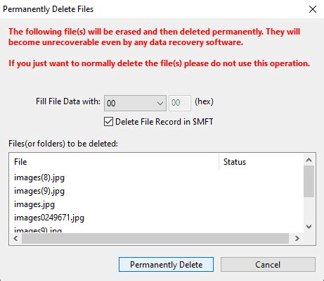 Delete Files Permanently 的图像结果
