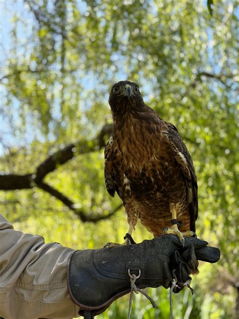 POST RANCH INN (Big Sur) - Hotel Reviews, Photos, Rate Comparison ...